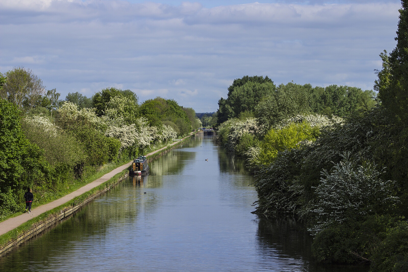 Race report: Women’s Running 10k, River Lee Country Park