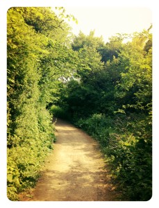 Letchworth Greenway