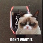 Grumpy Kat is Grumpy