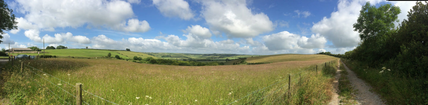 image - Scenic View - Giant's Head Marathon