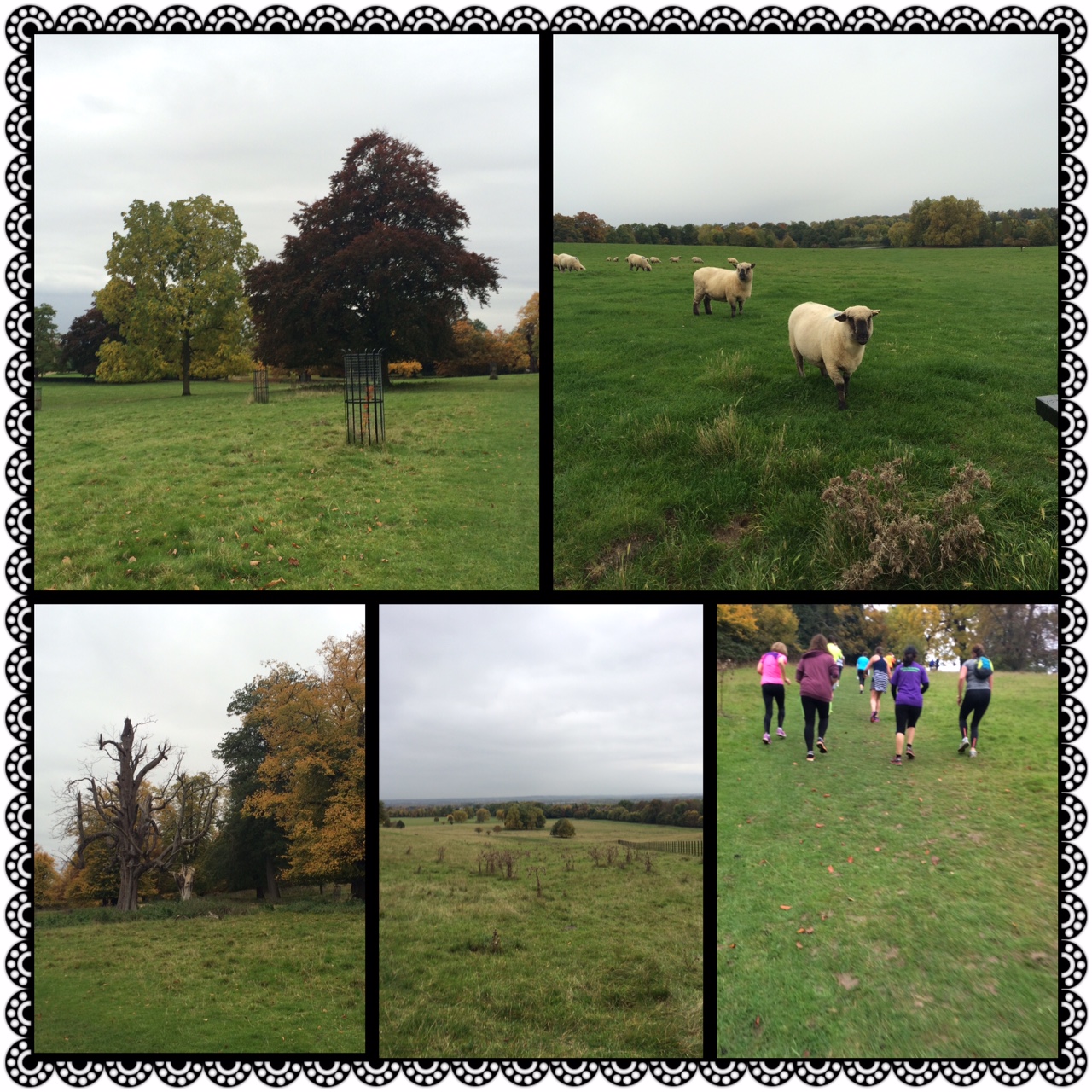 pause for parkrun