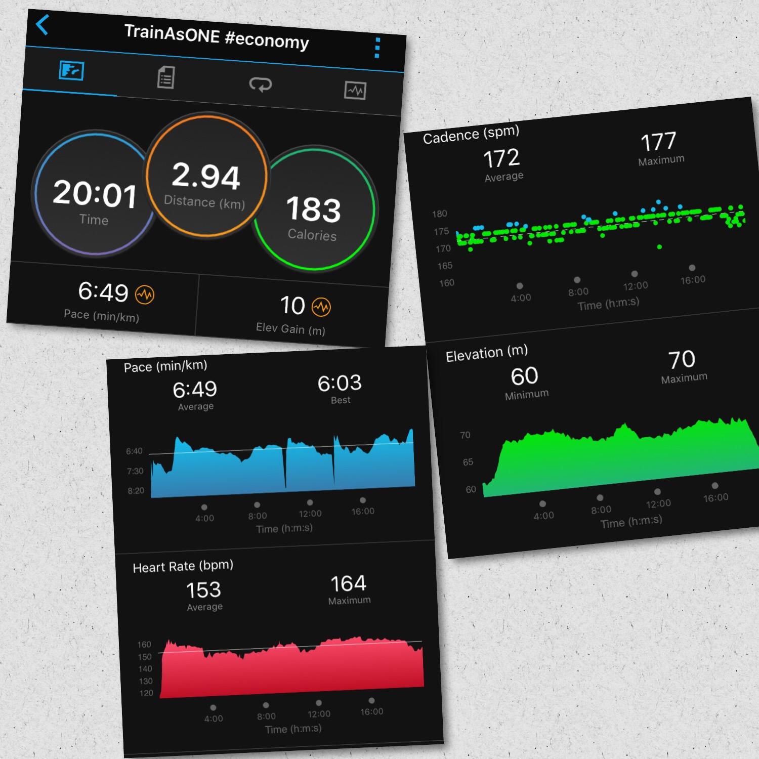 Training Log: 8-8-16