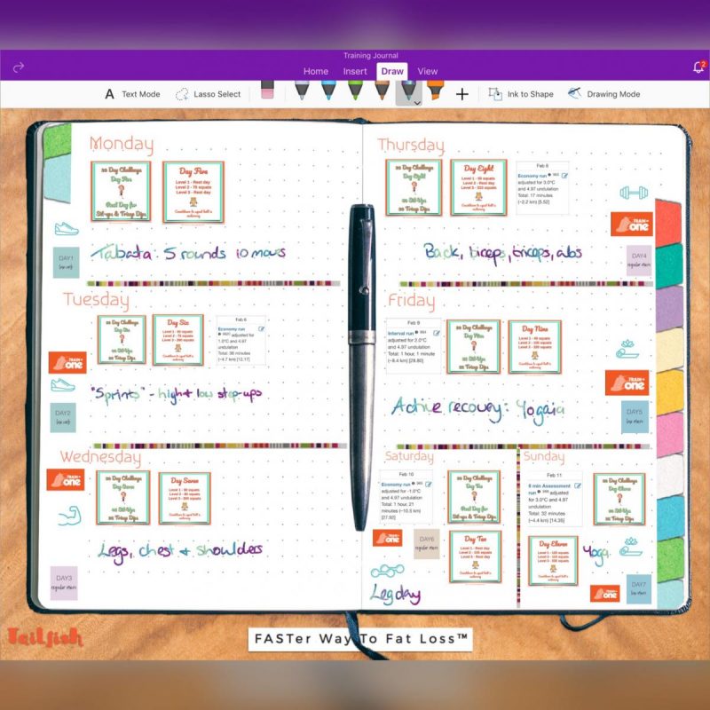 image shows a digital journal image with my upcoming training plan on it